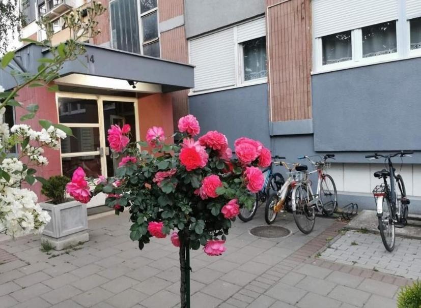 Vuk Apartment Cacak Exterior photo